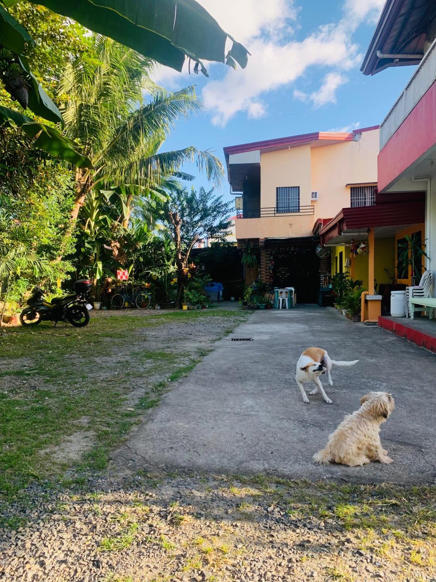 Perlies Inn Tanay Barkada House Ngoại thất bức ảnh